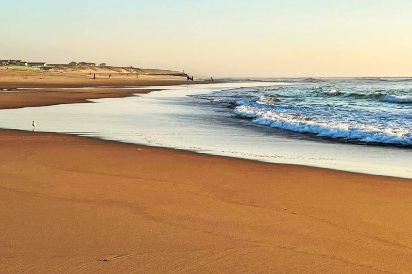 Les vagues - foto 25