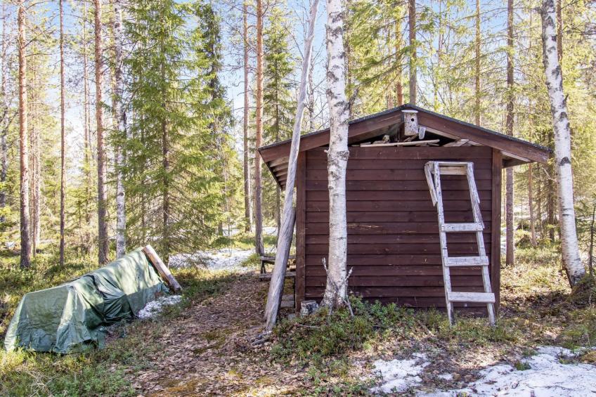 Pyhä pikkukarhu - foto 5