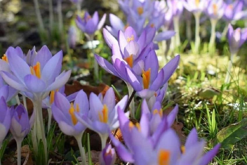 Stadt Apartement - foto 27