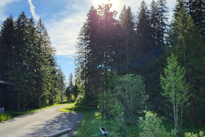 Fewo Pistenblick - foto 19