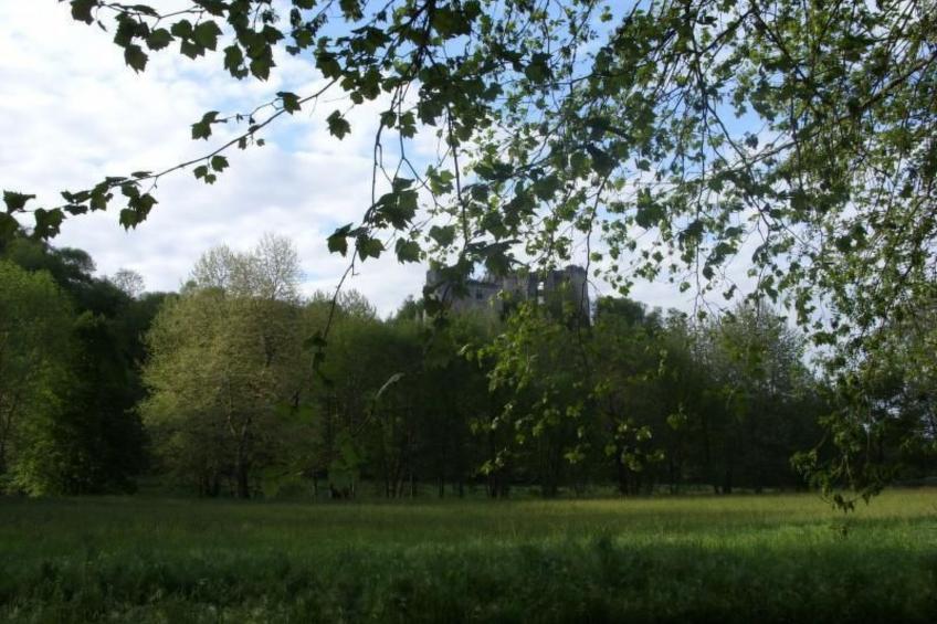 La Monestière - foto 29