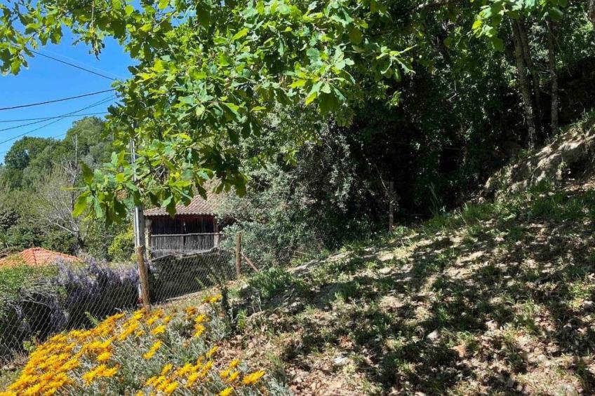 Aufenthalt in einem Naturparadies bei Alvão - foto 64