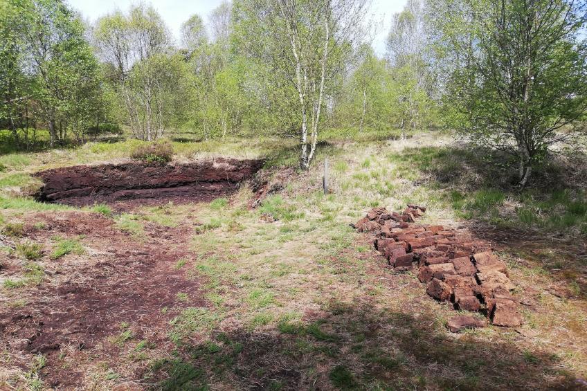 Le Coeur Des Fagnes - foto 37