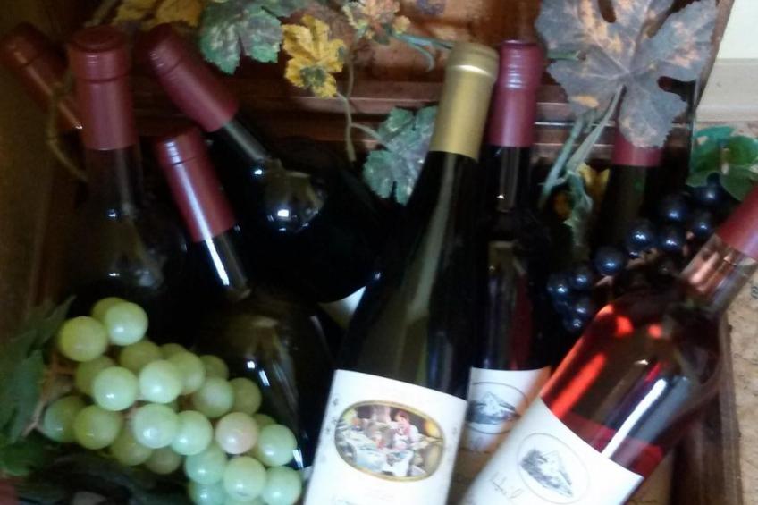 Wohnung mit Blick auf die Weinberge - foto 9