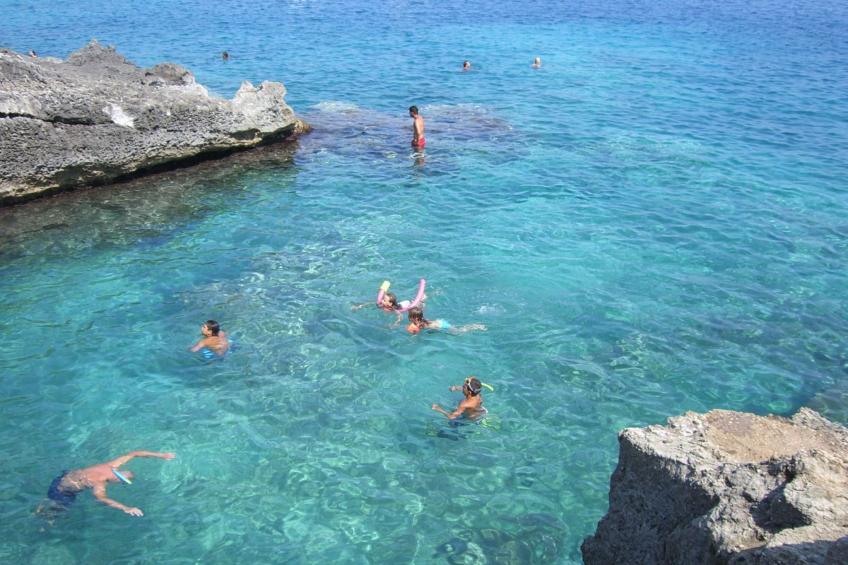 in Gagliano Del Capo mit Privatem Pool - foto 40