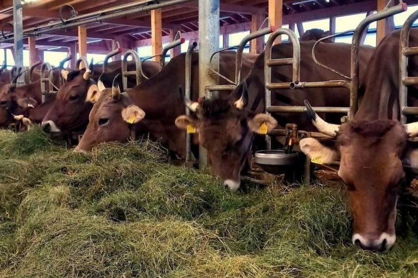 Haldenhof Schwizer - foto 29