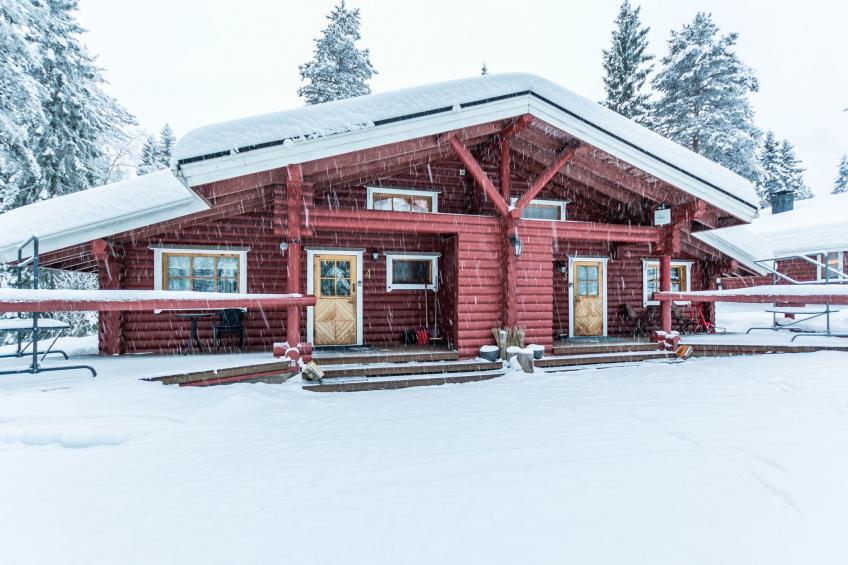 Kultapaljakka 4