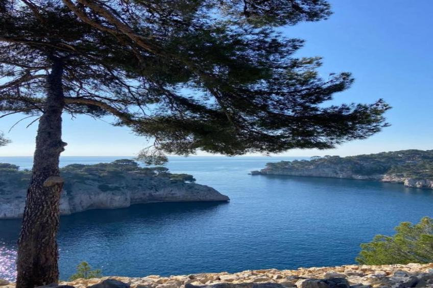 Shangri-La - foto 36