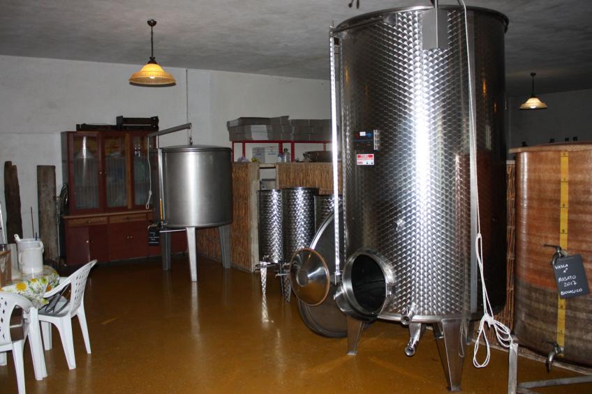 Flache Kornblume - foto 49