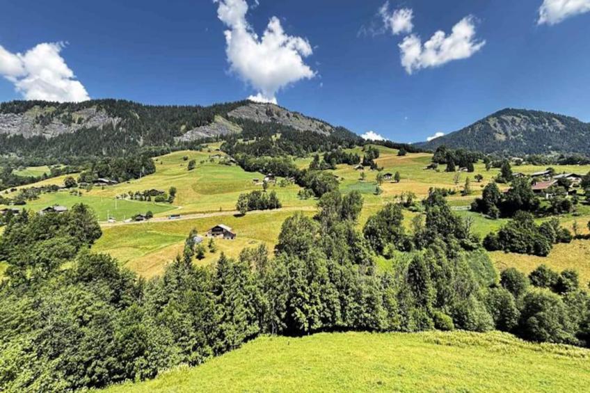 Les Chalets Des Evettes - foto 17