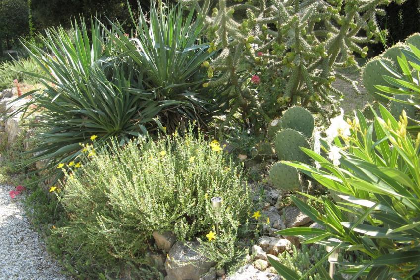 À l'abri du Mistral - foto 24