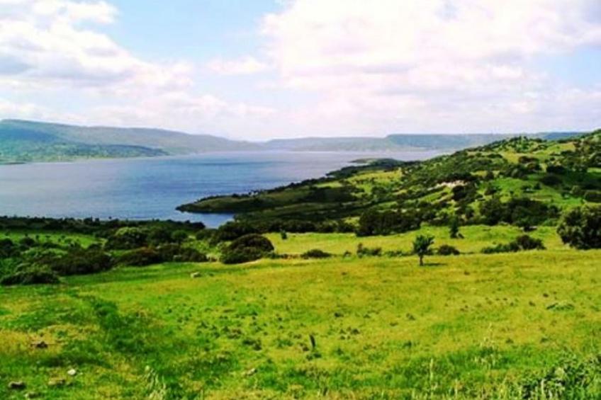 Zwei-Zimmer-Wohnung für maximal 4 Personen in Norbello - foto 39
