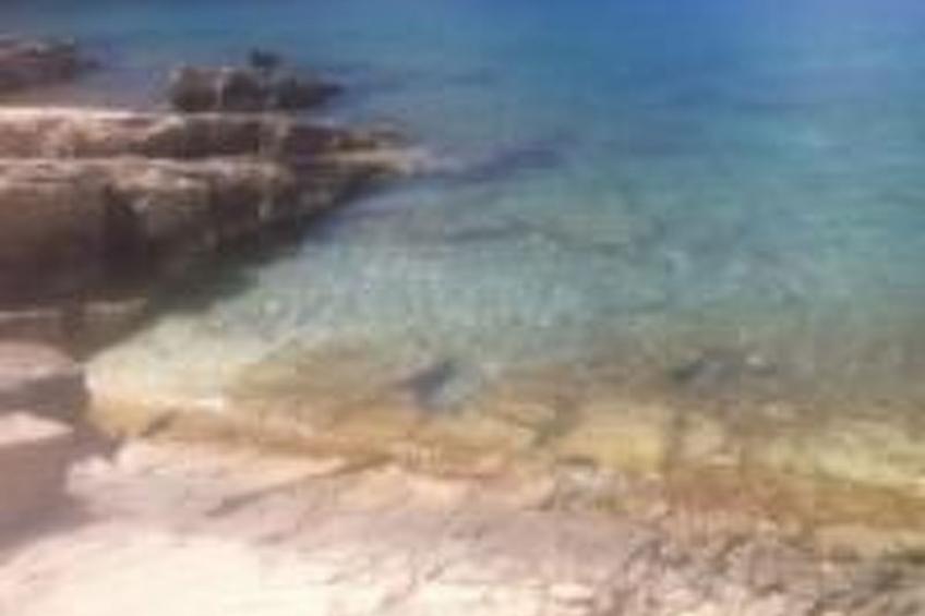 "Vila SanAdrija" - foto 9