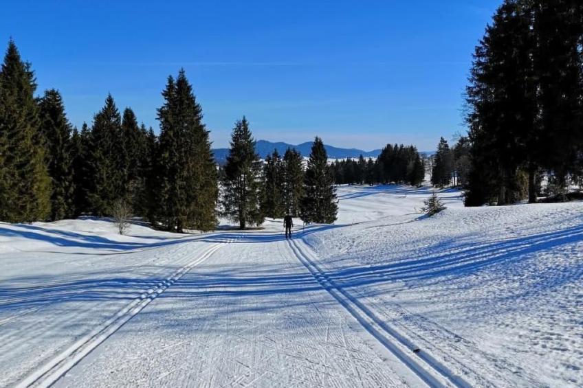 Wohnung in altem, renoviertem Bauernhaus - foto 54