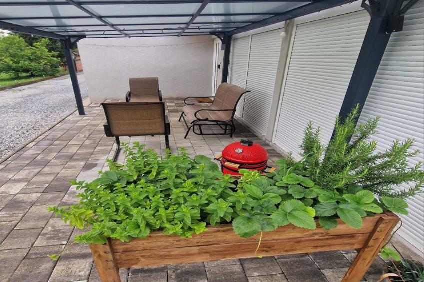 Vacation Home Rose - Holiday Home with Terrace - foto 5