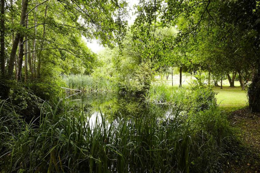 Maison à Saint Maixent sur Vie - foto 10