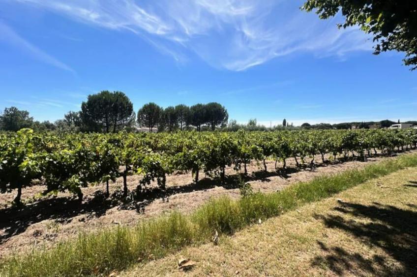 Résidence Gîte De La Cave - Charmant Gîte Provençal Avec Une Chambre - foto 5