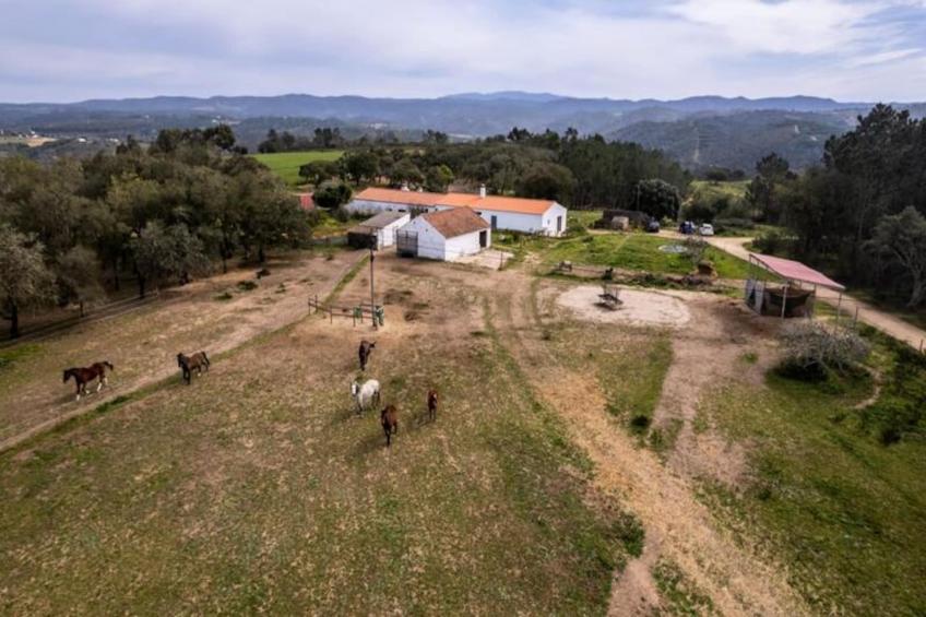 Casinha Da Paz - foto 44