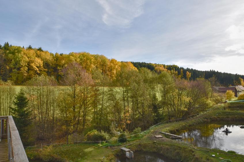 Weiherblasch I - foto 34