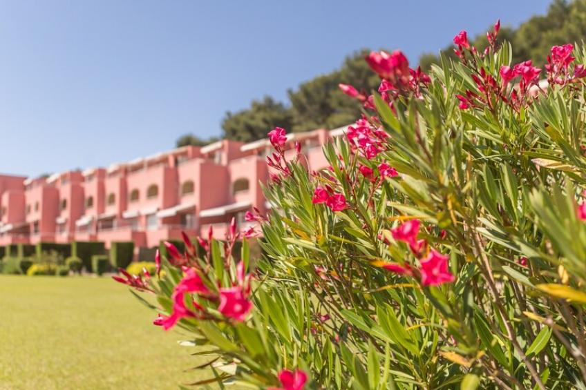 Les Jardins de la Cote d'Azur S5p Sun - foto 35