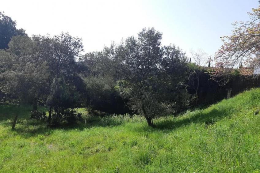 Resort Begur 4 - foto 13