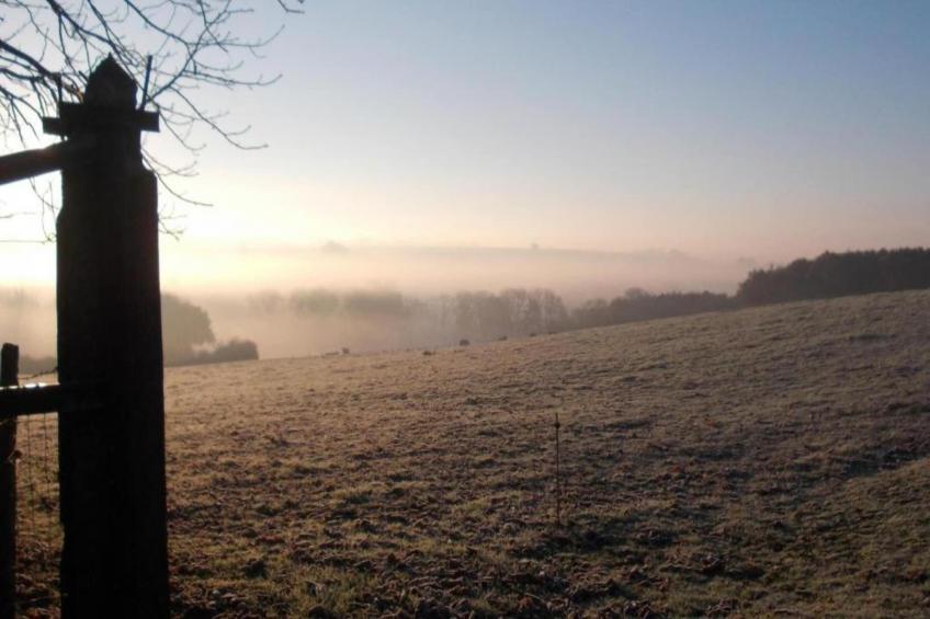 Le Château de La Gau - foto 37