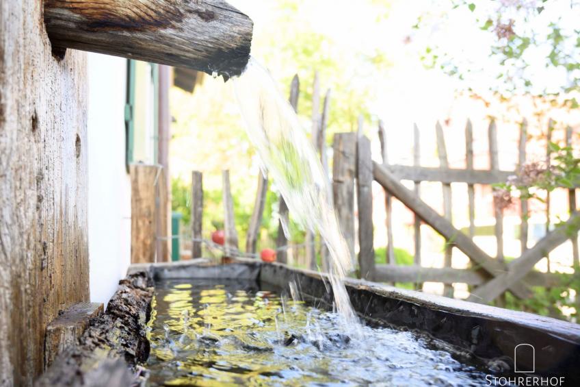 Wunderschönes Ferienhaus mit Kamin in Riederau - foto 5