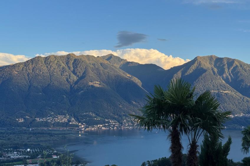 La Camelina - Contra - foto 16