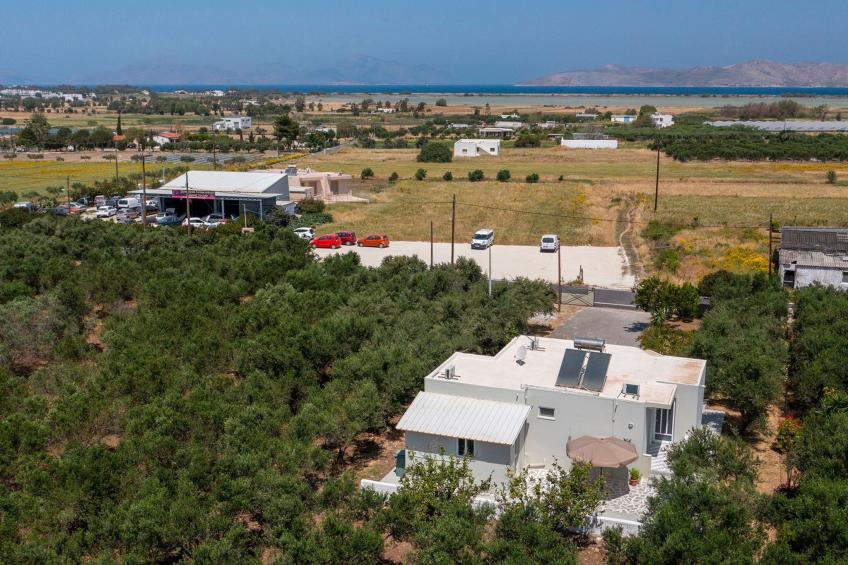 in einem Olivenhain in Strandnähe - foto 17