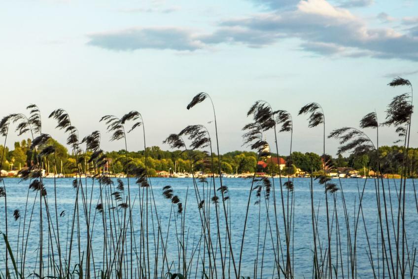 Bootshaus auf dem See - foto 16