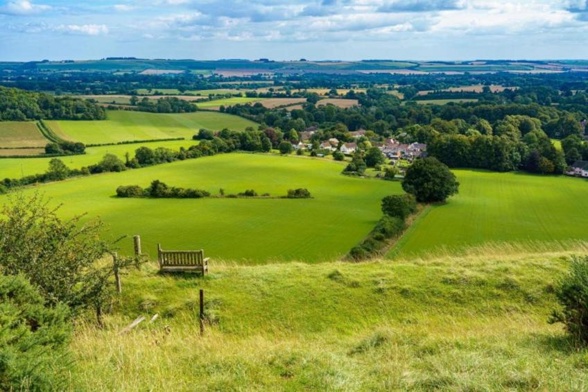 Jungle Bell Tent - foto 29