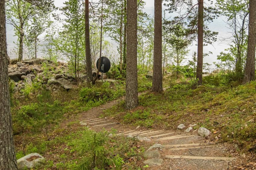 Koli, ulpukka - foto 55