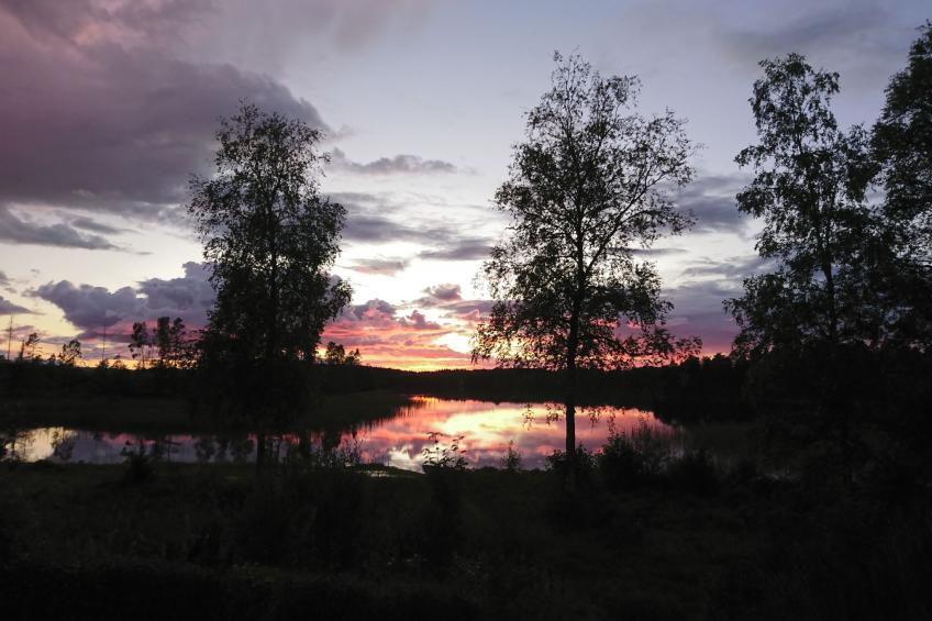 Saxarsviken - foto 32