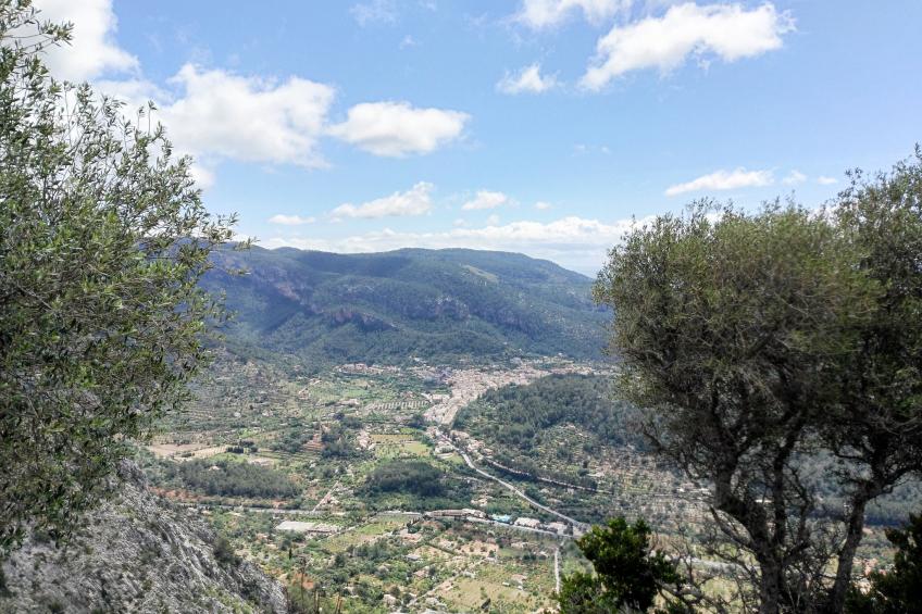 Caballeria 16 Familiar - foto 6