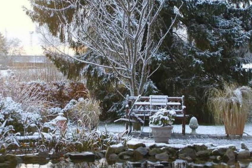 Vue au Jardin - foto 15