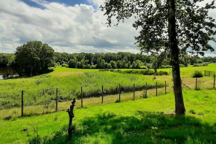 Chalet B10 Yemanisi in der Dordogne - foto 69