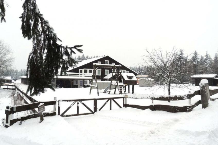 313 - foto 3