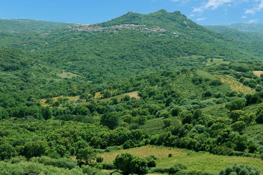 Stazzo mit Garten in Luogosanto - foto 10