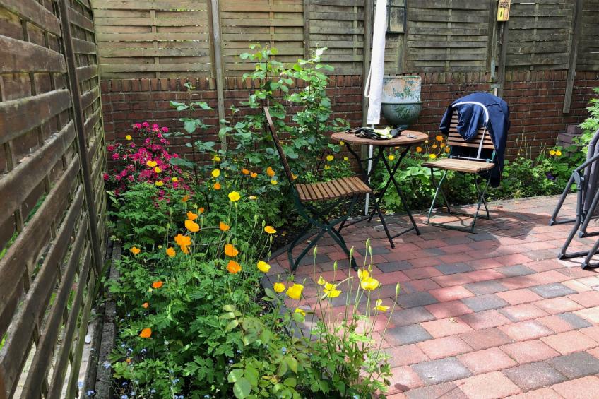 Altstadthus - gemütliches Ferienhaus mit romantischem Garten - foto 24