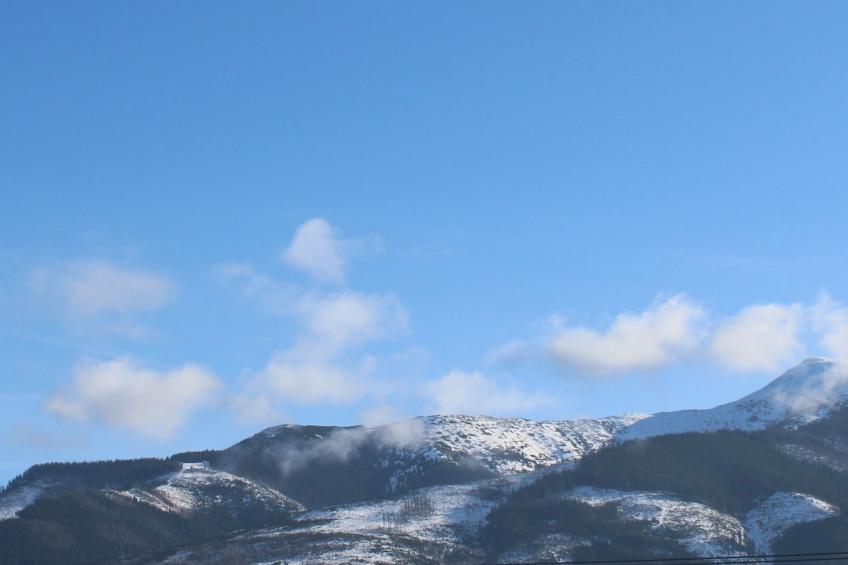 Appartment Zuberec 4 - foto 16