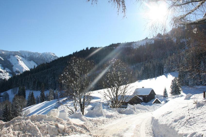 Bergchalet - foto 29