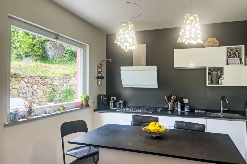 Le radici dell´ulivo - foto 10