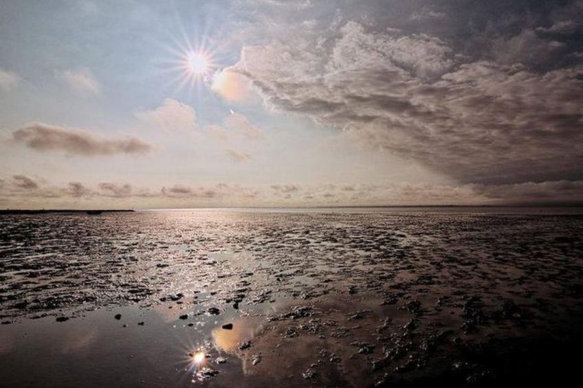 Haus Hanni - foto 32