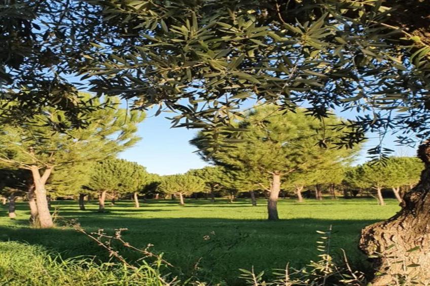 Casa Bela Esperança - foto 29