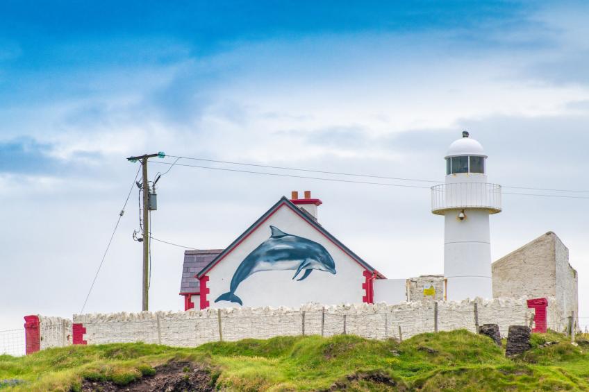 Dingle HC(TR4) No 1 - A - foto 3