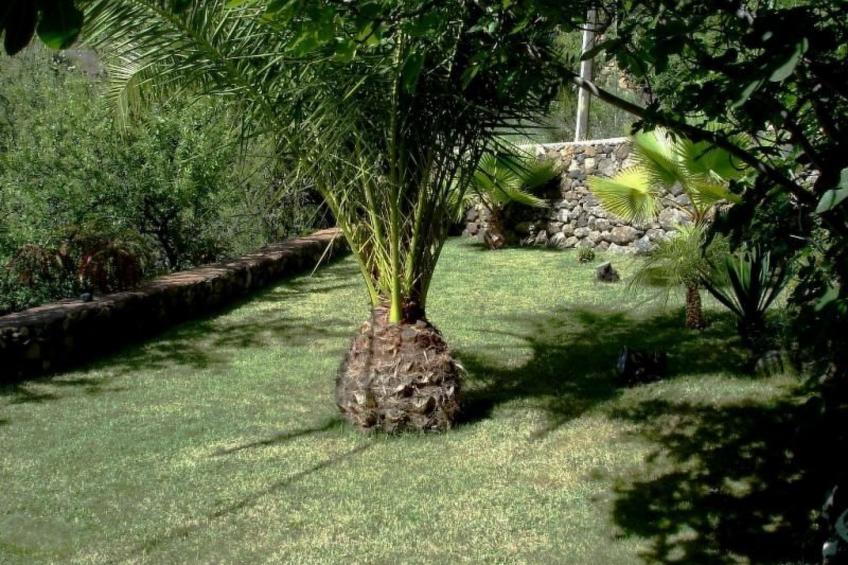 Anspruchsvolle Ferienvilla mit Panoramablick - foto 28