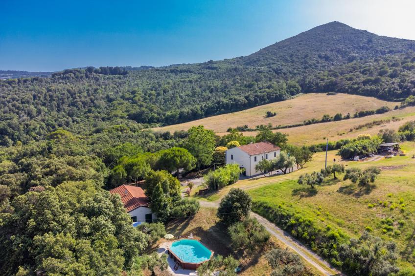 Podere gli Olivi - foto 3