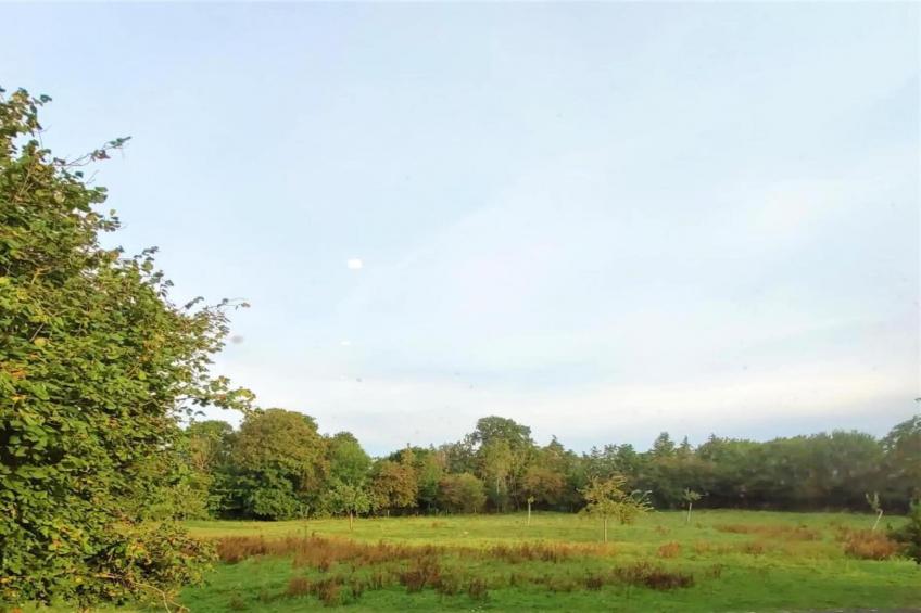GITE DE LA MOTTE - foto 37