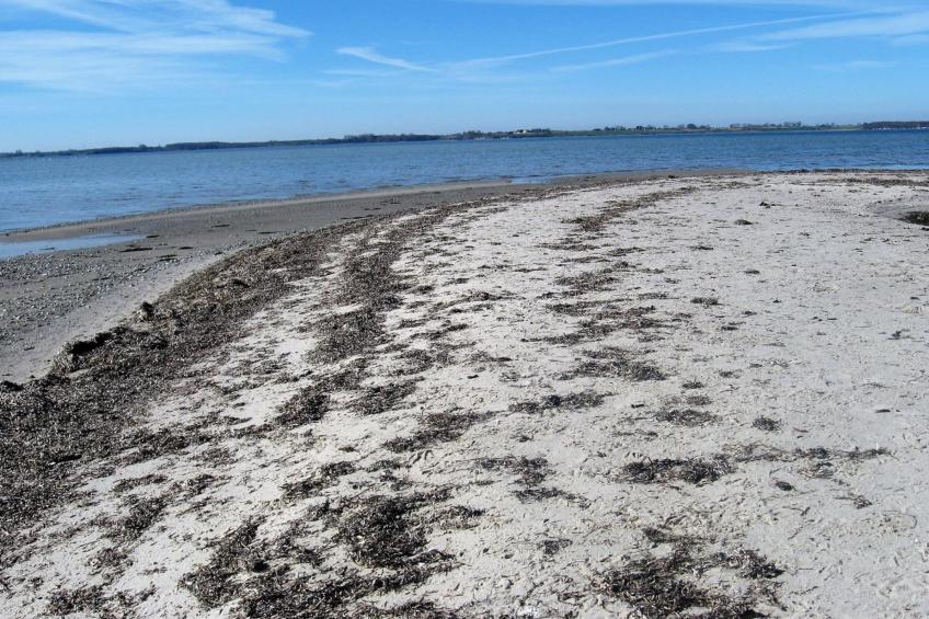 "Eddy" - 50m from the sea in Lolland, Falster and Mon - foto 4