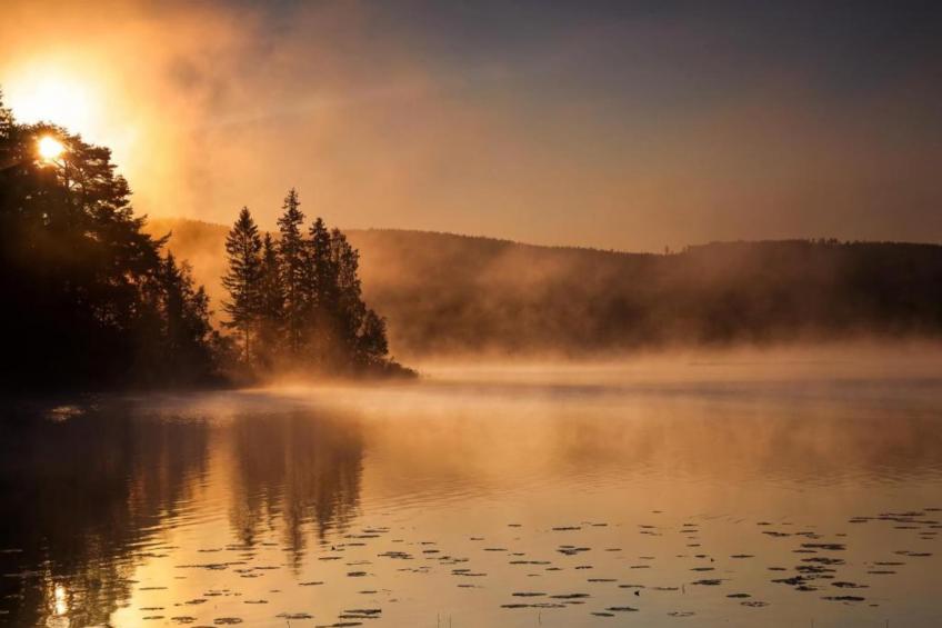 Abbas Stugby 14 - foto 23